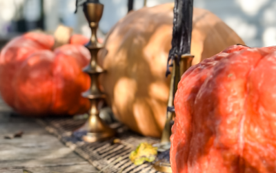 Pumpkin Cream Cheese Balls